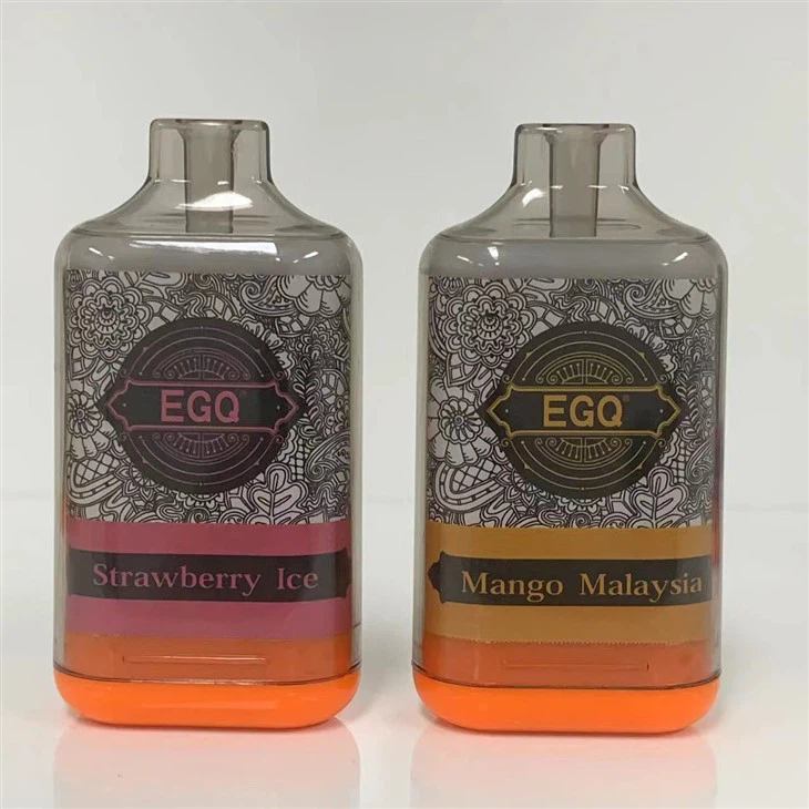 Electronic Cigarette 10000 Puffs Disposable Vape