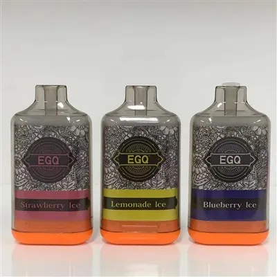 Vape 10000 Puffs Disposable Electronic Cigarette