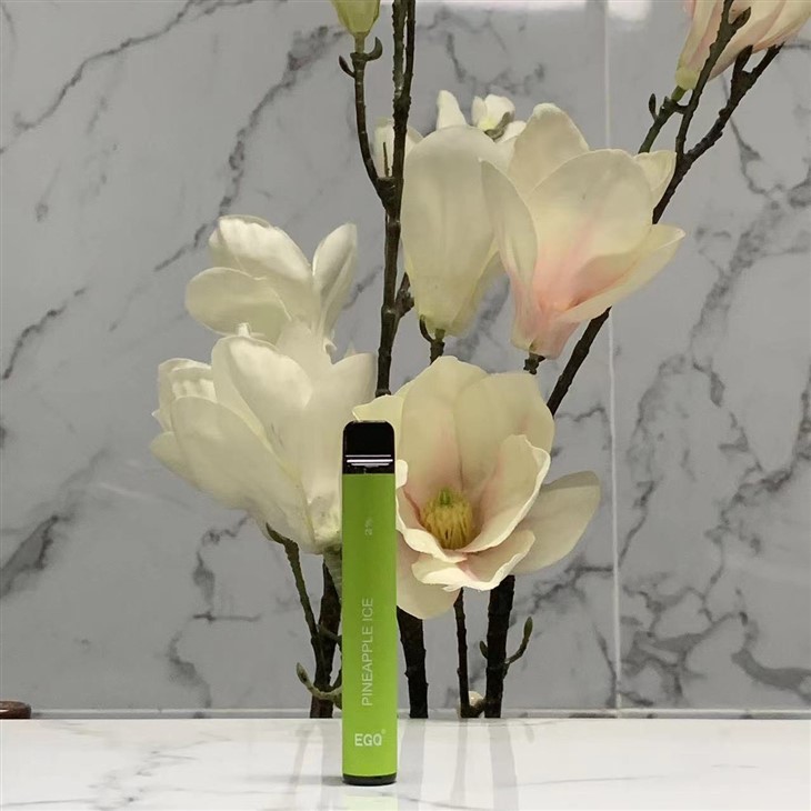 600 Puffs Disposable Vape Pen