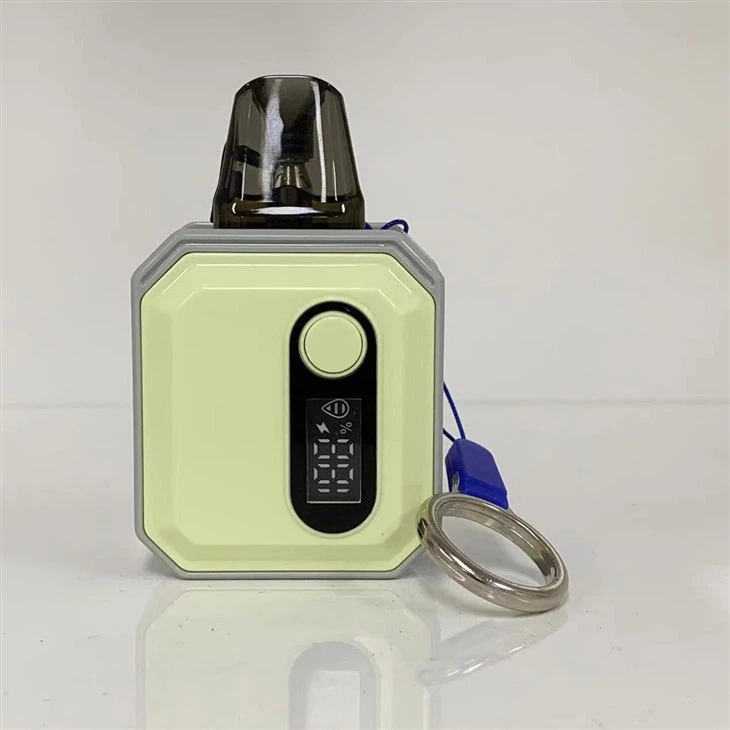 600 Puffs Vape Pod With 10 Flavors Wholesale Price