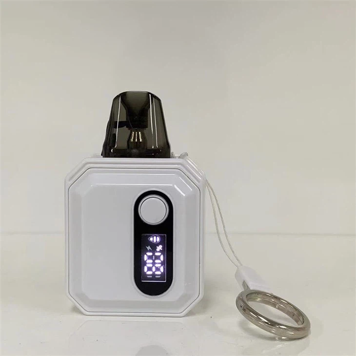 600 Puffs Vape Pod With 10 Flavors Wholesale Price