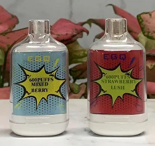 E Cigarette With 600 Puffs