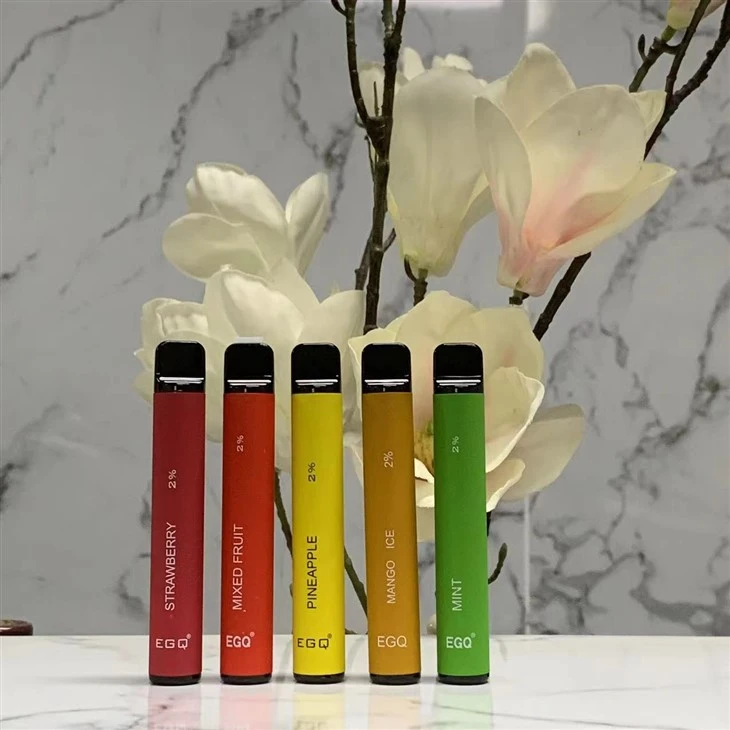 Disposable Electronic Cigarette With 600 Puffs