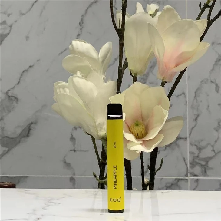 Disposable Electronic Cigarette With 600 Puffs