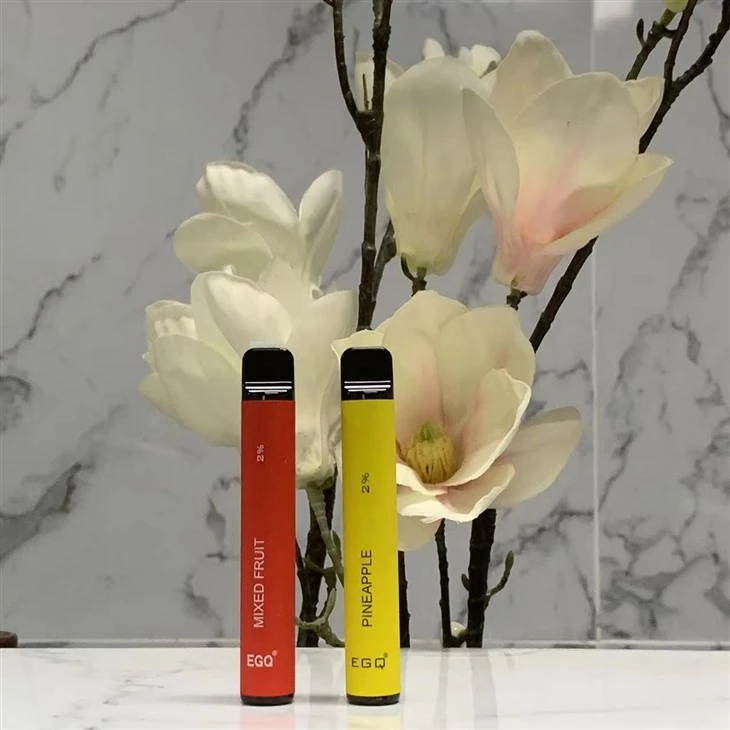 Disposable Electronic Cigarette With 600 Puffs