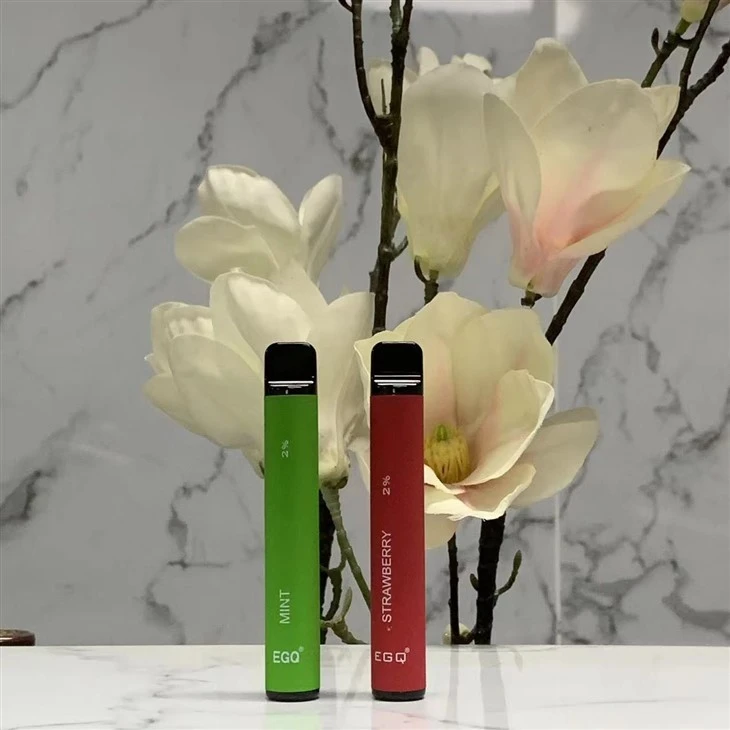 Disposable Electronic Cigarette With 600 Puffs
