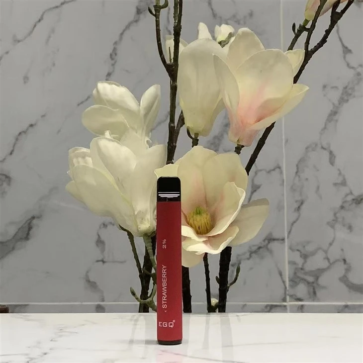 Disposable Electronic Cigarette With 600 Puffs