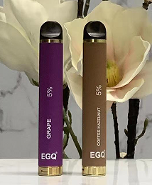 Disposable Vape E-Cigarette