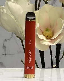 Disposable Vape E-Cigarette