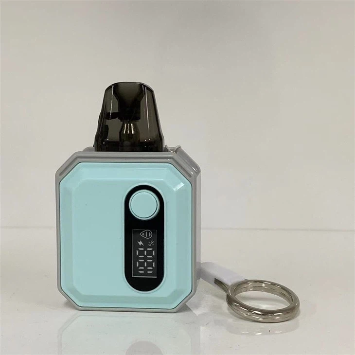 E Cigarette Mini Electronic Cigarette Custom Vape Pod Factory 600 Puff