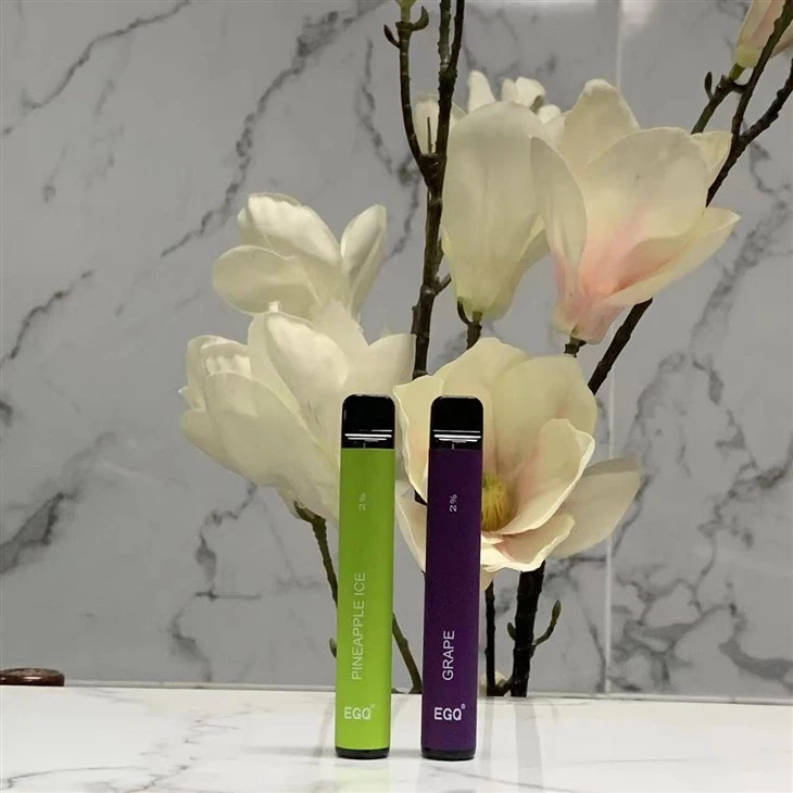 Hot Selling 600 Puffs Disposable Vape