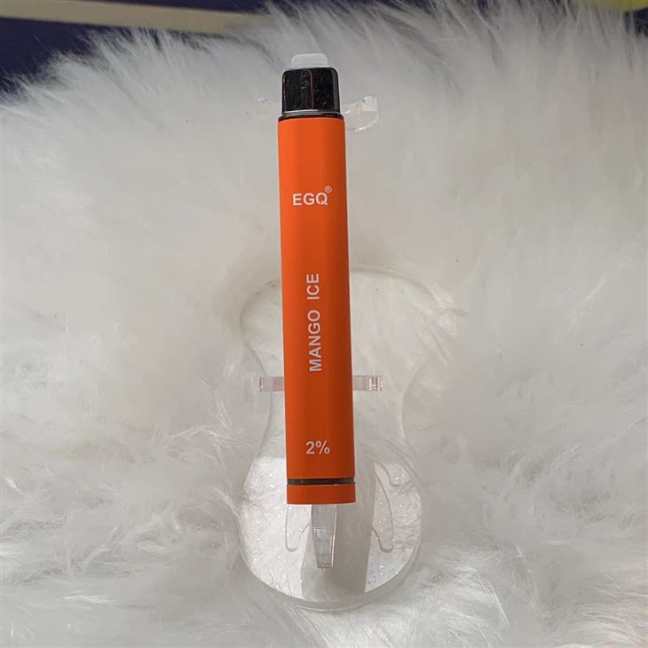OEM ODM Disposable Vape 600 Puffs E Cigarette Wholesale
