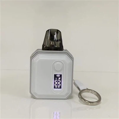 2 Ml Electronic Cigarette 10 Flavors Mini Vape Pod