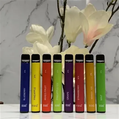600 Puffs Disposable E Cigarette