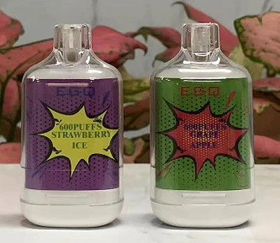 Disposable Vape E Cig With 600 Puffs