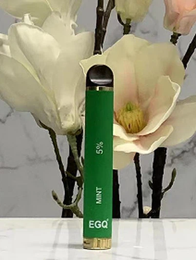 Disposable Vape E-Cigarette