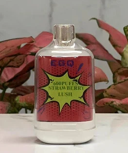 E Cigarette With 600 Puffs