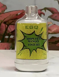 Electronic Cigarette Vape With 600 Puffs