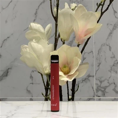 Hot 600 Puffs Disposable E Cig Vape Pen