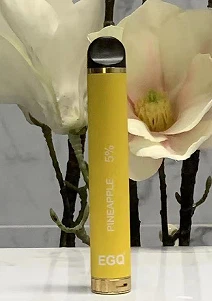 Hot Sell 800 Puffs Disposable E Cig