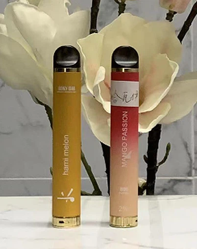 New Hot Sell Vape 800 Puffs Disposable Vape Pen