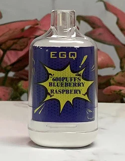 Vape Factory 2 Ml E Cigarette With 600 Puffs